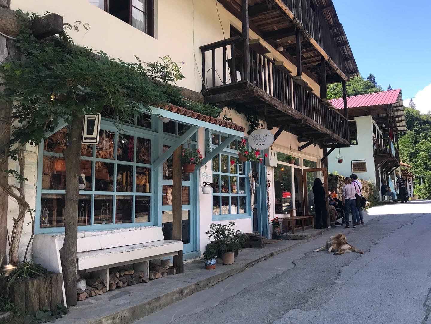 Rize çıkışlı Ayder Yaylası Turu - Fırtına Vadisi ve Karadeniz yayla manzarası, sisli dağlar ve doğal yeşil doğa görüntüsü